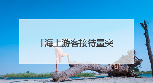 海上游客接待量突破100万人次