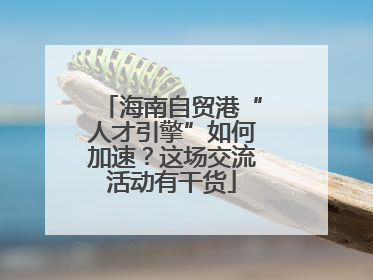 海南自贸港“人才引擎”如何加速？这场交流活动有干货