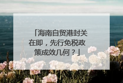 海南自贸港封关在即，先行免税政策成效几何？