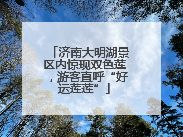 济南大明湖景区内惊现双色莲，游客直呼“好运莲莲”