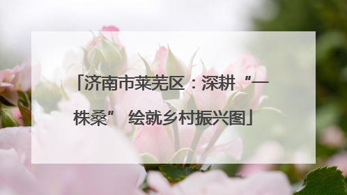 济南市莱芜区：深耕“一株桑” 绘就乡村振兴图