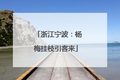 浙江宁波：杨梅挂枝引客来