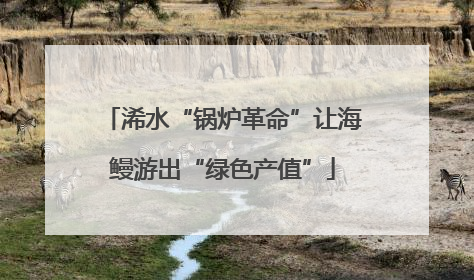 浠水“锅炉革命”让海鳗游出“绿色产值”