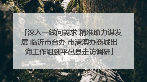 深入一线问需求 精准助力谋发展 临沂市台办 市港澳办商城出海工作组到平邑县走访调研