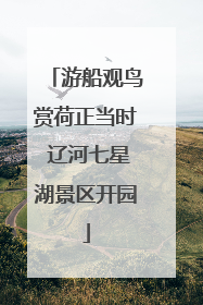 游船观鸟赏荷正当时 辽河七星湖景区开园
