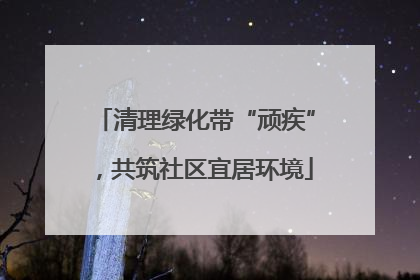 清理绿化带“顽疾”，共筑社区宜居环境