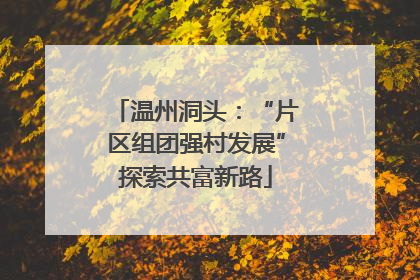 温州洞头：“片区组团强村发展”探索共富新路