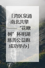 湾区泉涌·南北共擎——“花楸树”杯明湖慈善公益跑成功举办
