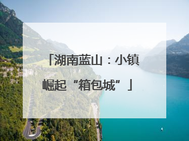 湖南蓝山：小镇崛起“箱包城”