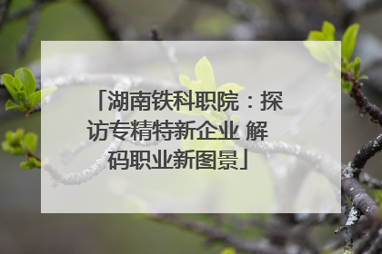 湖南铁科职院：探访专精特新企业 解码职业新图景