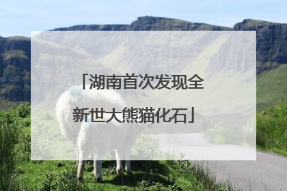 湖南首次发现全新世大熊猫化石