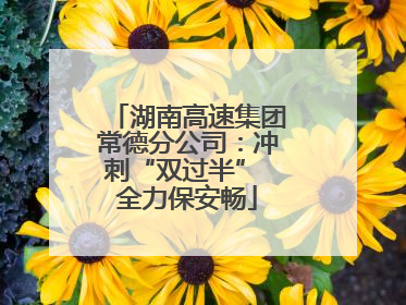 湖南高速集团常德分公司：冲刺“双过半” 全力保安畅