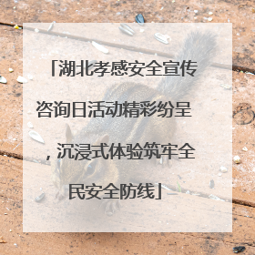 湖北孝感安全宣传咨询日活动精彩纷呈，沉浸式体验筑牢全民安全防线