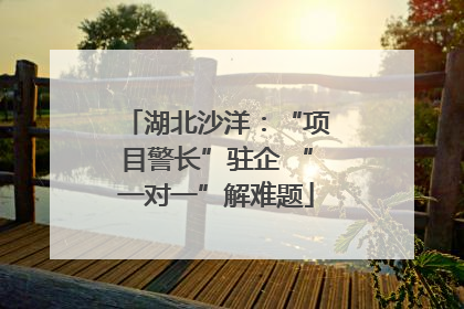 湖北沙洋：“项目警长”驻企 “一对一”解难题