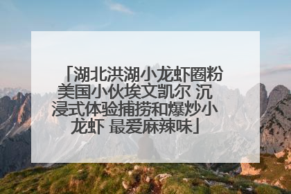 湖北洪湖小龙虾圈粉美国小伙埃文凯尔 沉浸式体验捕捞和爆炒小龙虾 最爱麻辣味
