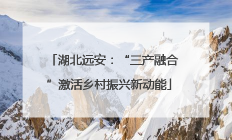 湖北远安：“三产融合”激活乡村振兴新动能