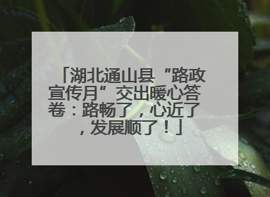 湖北通山县“路政宣传月”交出暖心答卷：路畅了，心近了，发展顺了！