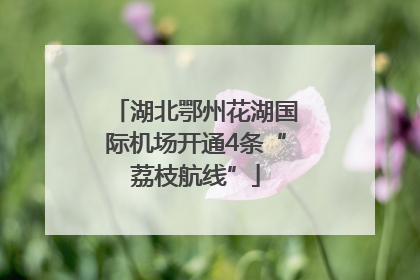 湖北鄂州花湖国际机场开通4条“荔枝航线”