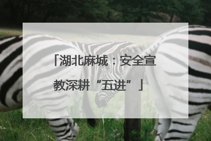 湖北麻城：安全宣教深耕“五进”