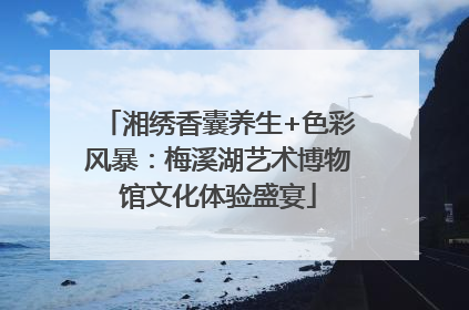 湘绣香囊养生+色彩风暴：梅溪湖艺术博物馆文化体验盛宴