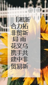 湘浙合力拓非贸新局 雨花义乌携手共建中非贸易新通道