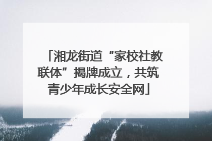湘龙街道“家校社教联体”揭牌成立，共筑青少年成长安全网