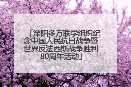 溧阳多方联学组织纪念中国人民抗日战争暨世界反法西斯战争胜利80周年活动