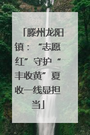 滕州龙阳镇：“志愿红”守护“丰收黄”夏收一线显担当