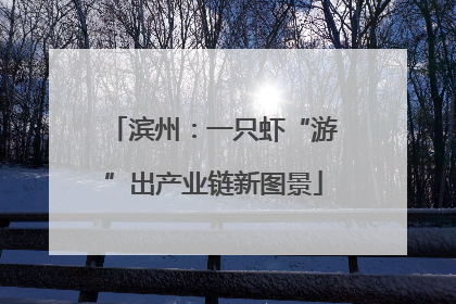 滨州：一只虾“游”出产业链新图景