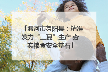 漯河市舞阳县：精准发力“三夏”生产 夯实粮食安全基石