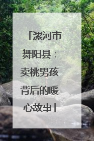 漯河市舞阳县：卖桃男孩背后的暖心故事