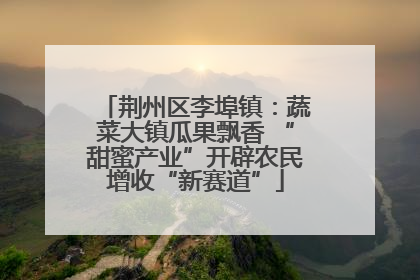 荆州区李埠镇：蔬菜大镇瓜果飘香 “甜蜜产业”开辟农民增收“新赛道”