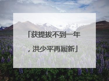 获提拔不到一年，洪少平再履新