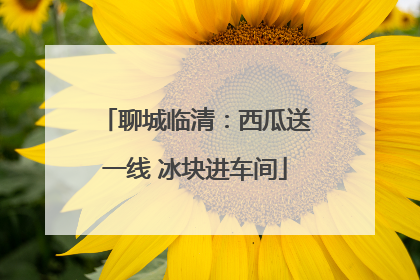 聊城临清：西瓜送一线 冰块进车间