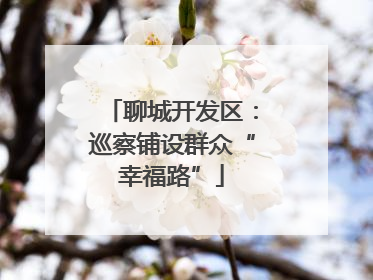 聊城开发区：巡察铺设群众“幸福路”