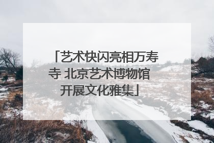艺术快闪亮相万寿寺 北京艺术博物馆开展文化雅集