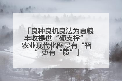 良种良机良法为夏粮丰收提供“硬支撑” 农业现代化图景有“智”更有“质”