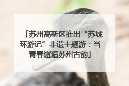 苏州高新区推出“苏城环游记”非遗主题游：当青春邂逅苏州古韵
