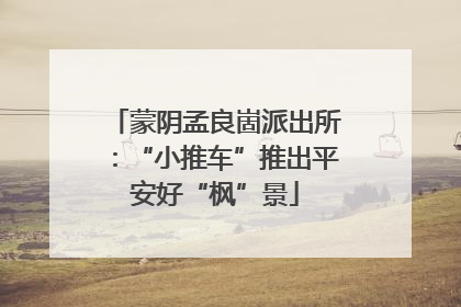 蒙阴孟良崮派出所：“小推车”推出平安好“枫”景