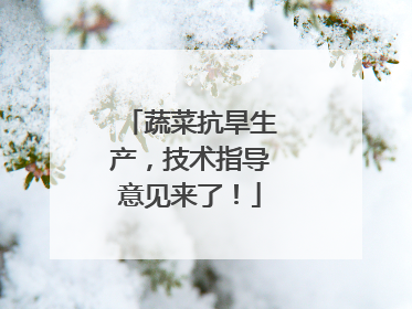 蔬菜抗旱生产，技术指导意见来了！