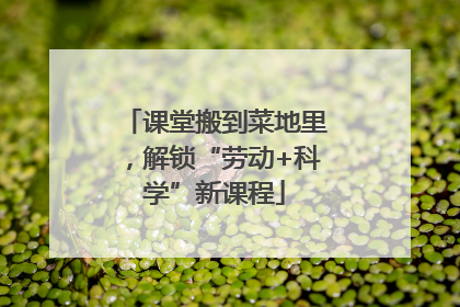 课堂搬到菜地里，解锁“劳动+科学”新课程