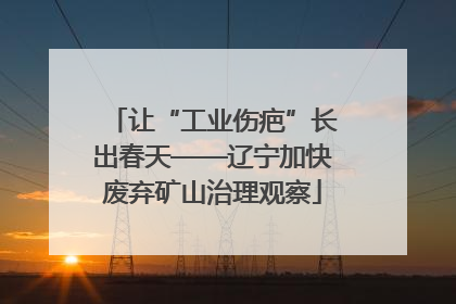 让“工业伤疤”长出春天——辽宁加快废弃矿山治理观察