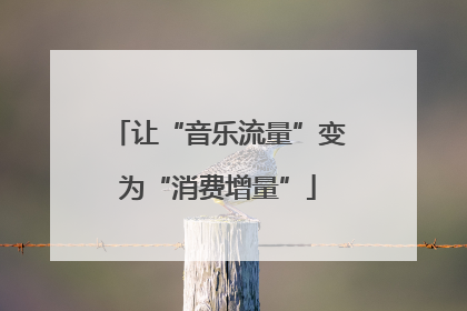让“音乐流量”变为“消费增量”