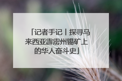 记者手记丨探寻马来西亚霹雳州锡矿上的华人奋斗史