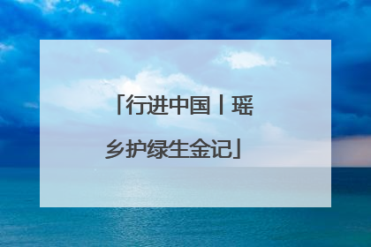 行进中国丨瑶乡护绿生金记