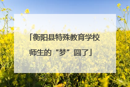 衡阳县特殊教育学校师生的“梦”圆了