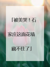 被美哭！石家庄这面花墙藏不住了