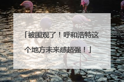 被围观了！呼和浩特这个地方未来感超强！
