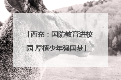 西充：国防教育进校园 厚植少年强国梦
