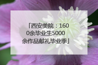 西安美院：1600余毕业生5000余作品献礼毕业季